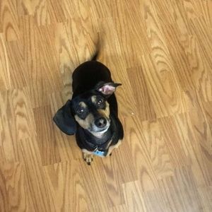 Meet your Posher, April